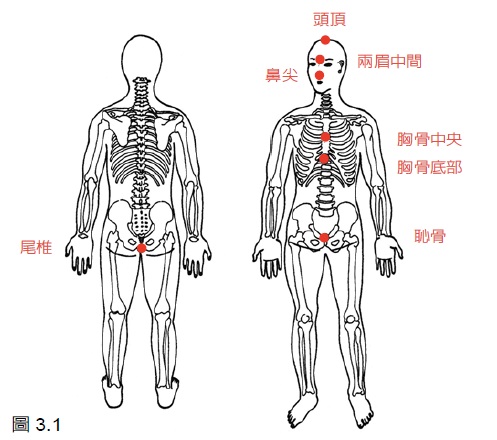 仁神術正中能量流